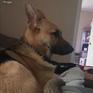 Meet your Posher, Kristen